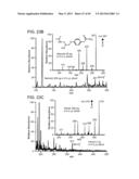 ION GENERATION USING WETTED POROUS MATERIAL diagram and image