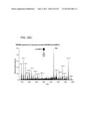 ION GENERATION USING WETTED POROUS MATERIAL diagram and image