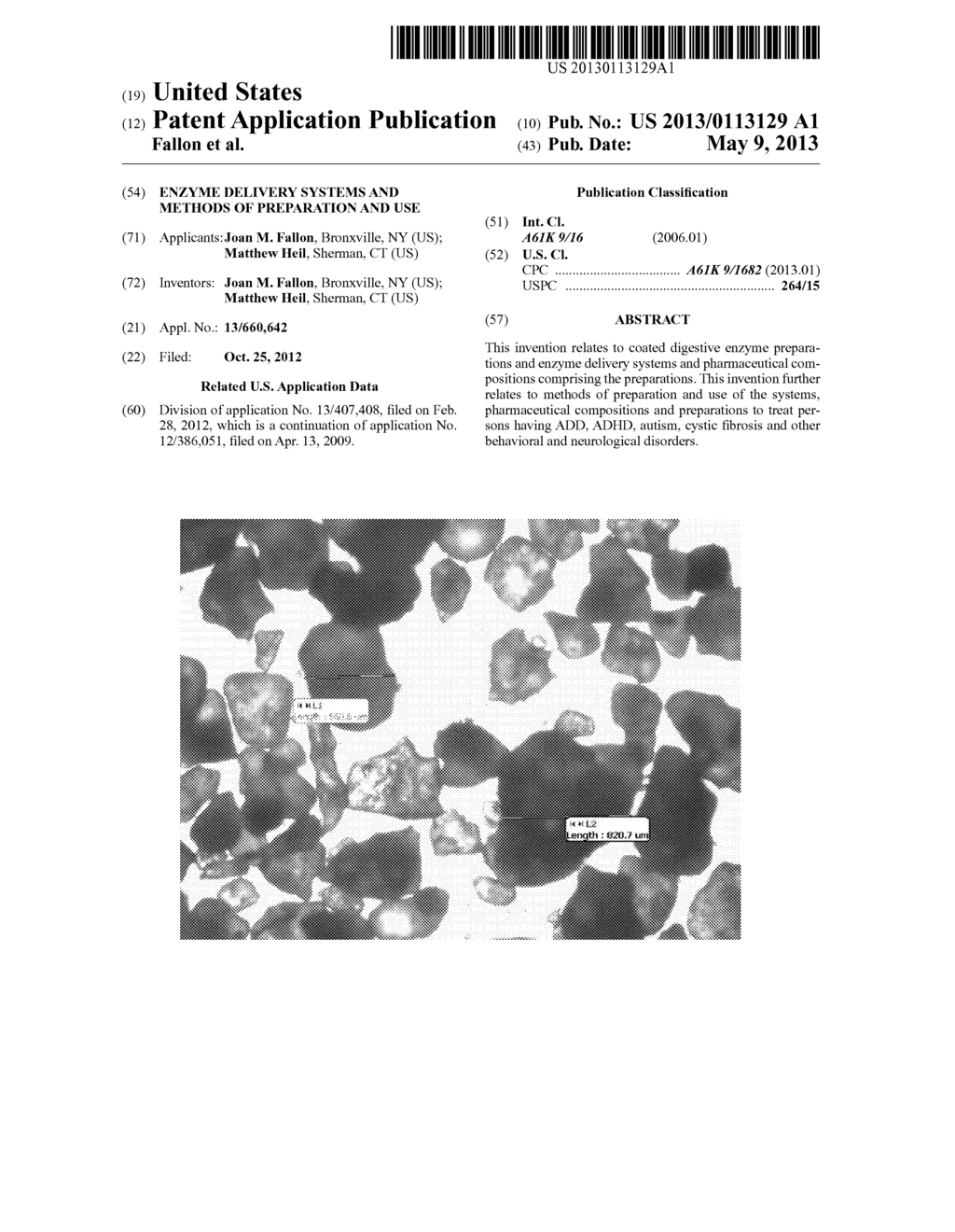 Enzyme Delivery Systems and Methods of Preparation and Use - diagram, schematic, and image 01