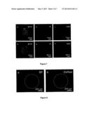 CELL PORATION diagram and image