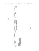 OAM in OTN Networks: GMPLS signaling for TCM diagram and image