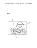 IMAGE-CAPTURING APPARATUS diagram and image