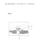 IMAGE-CAPTURING APPARATUS diagram and image