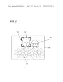 IMAGE-CAPTURING APPARATUS diagram and image