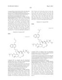 Hepatitis C Virus Inhibitors diagram and image