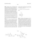 Hepatitis C Virus Inhibitors diagram and image