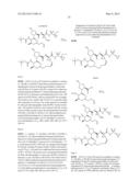 Hepatitis C Virus Inhibitors diagram and image