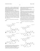 Hepatitis C Virus Inhibitors diagram and image