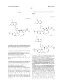 Hepatitis C Virus Inhibitors diagram and image