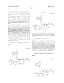 Hepatitis C Virus Inhibitors diagram and image