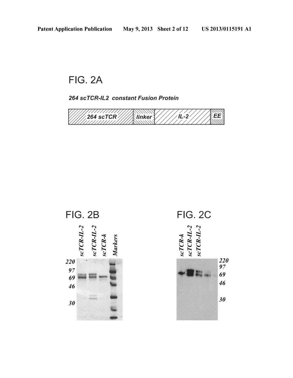 T CELL RECEPTOR FUSIONS AND CONJUGATES AND METHODS OF USE THEREOF - diagram, schematic, and image 03