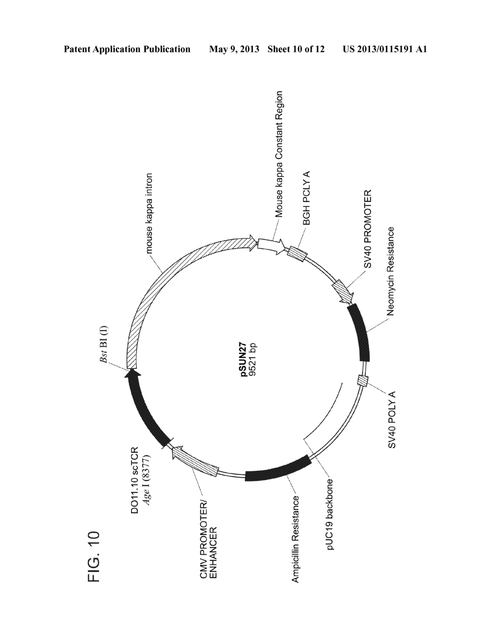 T CELL RECEPTOR FUSIONS AND CONJUGATES AND METHODS OF USE THEREOF - diagram, schematic, and image 11