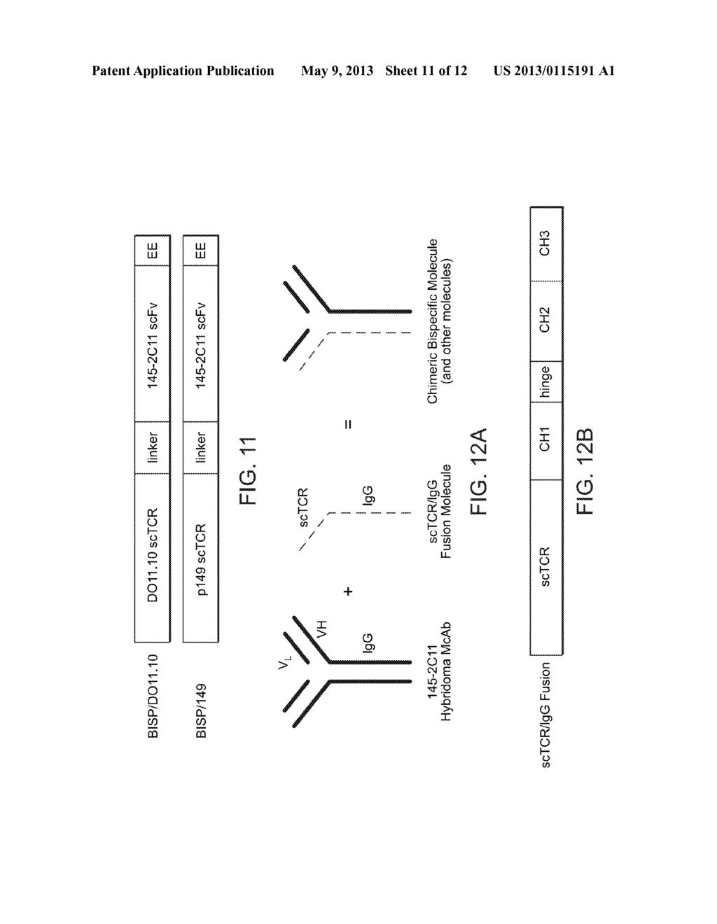 T CELL RECEPTOR FUSIONS AND CONJUGATES AND METHODS OF USE THEREOF - diagram, schematic, and image 12