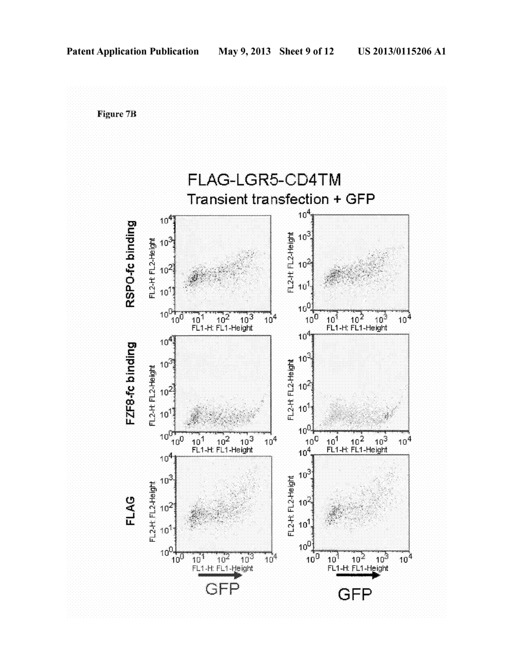 Compositions and Methods for Treating and Diagnosing Cancer - diagram, schematic, and image 10