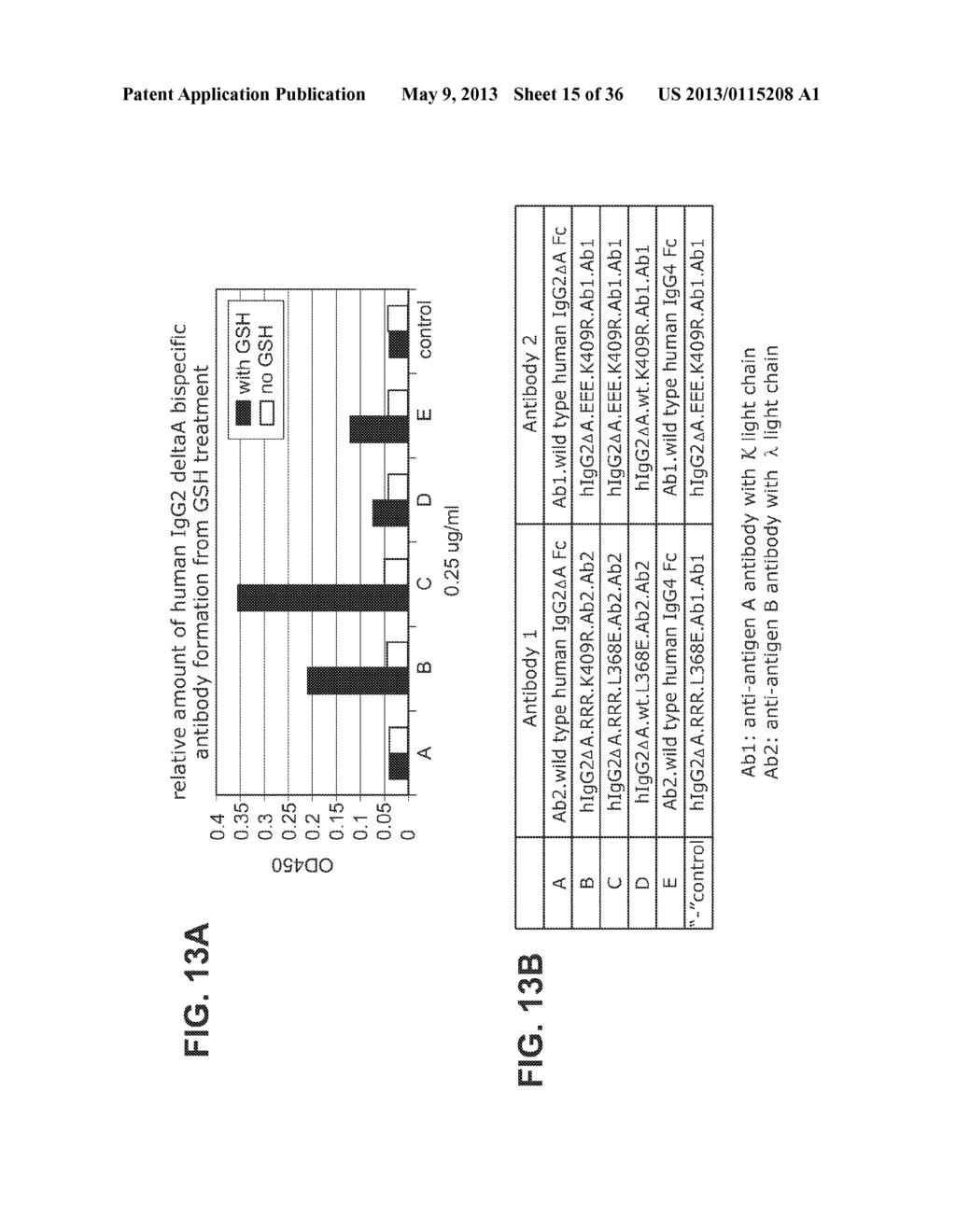 HETERODIMERIC PROTEINS AND METHODS FOR PRODUCING AND PURIFYING THEM - diagram, schematic, and image 16