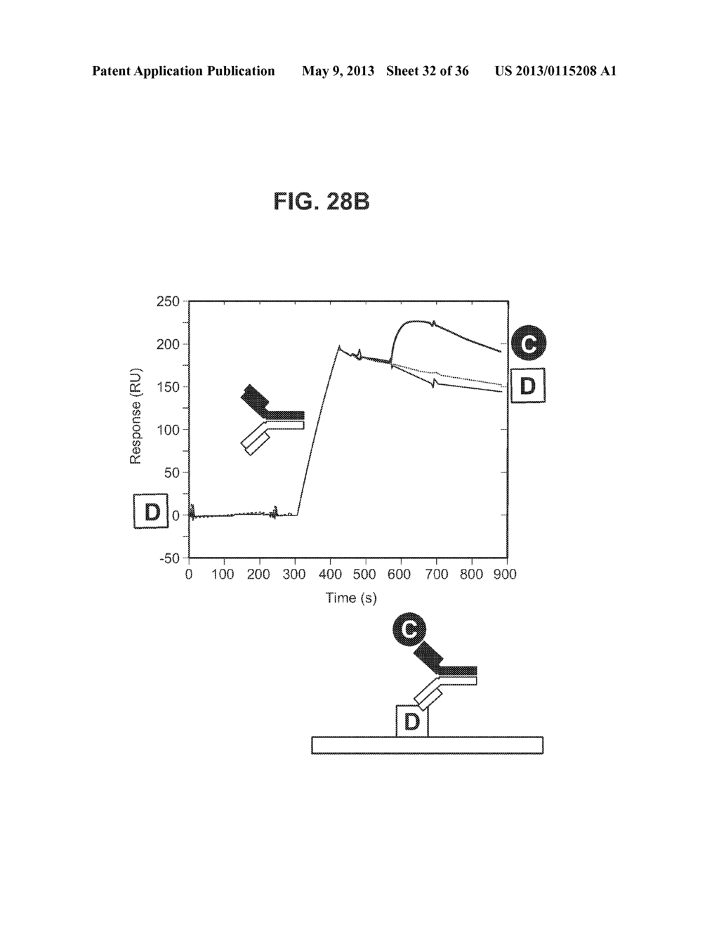 HETERODIMERIC PROTEINS AND METHODS FOR PRODUCING AND PURIFYING THEM - diagram, schematic, and image 33