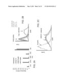 ISOLATED HIGH AFFINITY ENTITIES WITH T-CELL RECEPTOR LIKE SPECIFICITY     TOWARDS NATIVE COMPLEXES OF MHC CLASS II AND GLUTAMIC ACID DECARBOXYLASE     (GAD) AUTOANTIGENIC PEPTIDES diagram and image