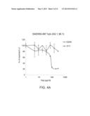 ISOLATED HIGH AFFINITY ENTITIES WITH T-CELL RECEPTOR LIKE SPECIFICITY     TOWARDS NATIVE COMPLEXES OF MHC CLASS II AND GLUTAMIC ACID DECARBOXYLASE     (GAD) AUTOANTIGENIC PEPTIDES diagram and image