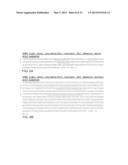 ISOLATED HIGH AFFINITY ENTITIES WITH T-CELL RECEPTOR LIKE SPECIFICITY     TOWARDS NATIVE COMPLEXES OF MHC CLASS II AND GLUTAMIC ACID DECARBOXYLASE     (GAD) AUTOANTIGENIC PEPTIDES diagram and image