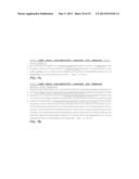 ISOLATED HIGH AFFINITY ENTITIES WITH T-CELL RECEPTOR LIKE SPECIFICITY     TOWARDS NATIVE COMPLEXES OF MHC CLASS II AND GLUTAMIC ACID DECARBOXYLASE     (GAD) AUTOANTIGENIC PEPTIDES diagram and image