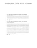 ISOLATED HIGH AFFINITY ENTITIES WITH T-CELL RECEPTOR LIKE SPECIFICITY     TOWARDS NATIVE COMPLEXES OF MHC CLASS II AND GLUTAMIC ACID DECARBOXYLASE     (GAD) AUTOANTIGENIC PEPTIDES diagram and image