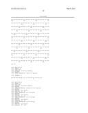 ISOLATED HIGH AFFINITY ENTITIES WITH T-CELL RECEPTOR LIKE SPECIFICITY     TOWARDS NATIVE COMPLEXES OF MHC CLASS II AND GLUTAMIC ACID DECARBOXYLASE     (GAD) AUTOANTIGENIC PEPTIDES diagram and image