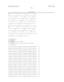 ISOLATED HIGH AFFINITY ENTITIES WITH T-CELL RECEPTOR LIKE SPECIFICITY     TOWARDS NATIVE COMPLEXES OF MHC CLASS II AND GLUTAMIC ACID DECARBOXYLASE     (GAD) AUTOANTIGENIC PEPTIDES diagram and image