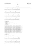 ISOLATED HIGH AFFINITY ENTITIES WITH T-CELL RECEPTOR LIKE SPECIFICITY     TOWARDS NATIVE COMPLEXES OF MHC CLASS II AND GLUTAMIC ACID DECARBOXYLASE     (GAD) AUTOANTIGENIC PEPTIDES diagram and image