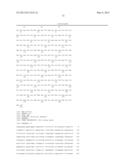 ISOLATED HIGH AFFINITY ENTITIES WITH T-CELL RECEPTOR LIKE SPECIFICITY     TOWARDS NATIVE COMPLEXES OF MHC CLASS II AND GLUTAMIC ACID DECARBOXYLASE     (GAD) AUTOANTIGENIC PEPTIDES diagram and image