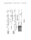 METHODS OF LIMITING MICROVASCULAR DAMAGE FOLLOWING ACUTE MYOCARDIAL     ISCHEMIA diagram and image