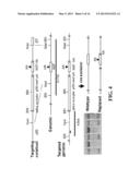 METHODS OF LIMITING MICROVASCULAR DAMAGE FOLLOWING ACUTE MYOCARDIAL     ISCHEMIA diagram and image