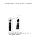 MICROVESICLES DERIVED FROM CELL PROTOPLAST AND USE THEREOF diagram and image