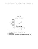 MICROVESICLES DERIVED FROM CELL PROTOPLAST AND USE THEREOF diagram and image