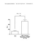 MICROVESICLES DERIVED FROM CELL PROTOPLAST AND USE THEREOF diagram and image