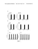 METHOD FOR INHIBITING CANCER STEM CELL LIKE PROPERTIES AND     CHEMORADIORESISTANT PROPERTIES OF CANCER OR TUMOR CELLS WITH MICRORNA145 diagram and image