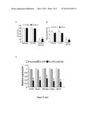 METHOD FOR INHIBITING CANCER STEM CELL LIKE PROPERTIES AND     CHEMORADIORESISTANT PROPERTIES OF CANCER OR TUMOR CELLS WITH MICRORNA145 diagram and image