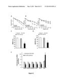 METHOD FOR INHIBITING CANCER STEM CELL LIKE PROPERTIES AND     CHEMORADIORESISTANT PROPERTIES OF CANCER OR TUMOR CELLS WITH MICRORNA145 diagram and image