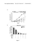 METHOD FOR INHIBITING CANCER STEM CELL LIKE PROPERTIES AND     CHEMORADIORESISTANT PROPERTIES OF CANCER OR TUMOR CELLS WITH MICRORNA145 diagram and image