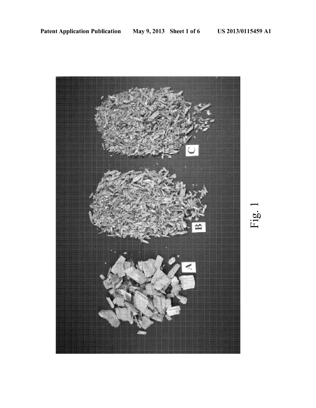 PRECISION WOOD PARTICLE FEEDSTOCKS - diagram, schematic, and image 02