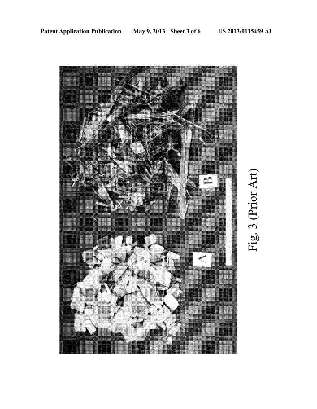 PRECISION WOOD PARTICLE FEEDSTOCKS - diagram, schematic, and image 04