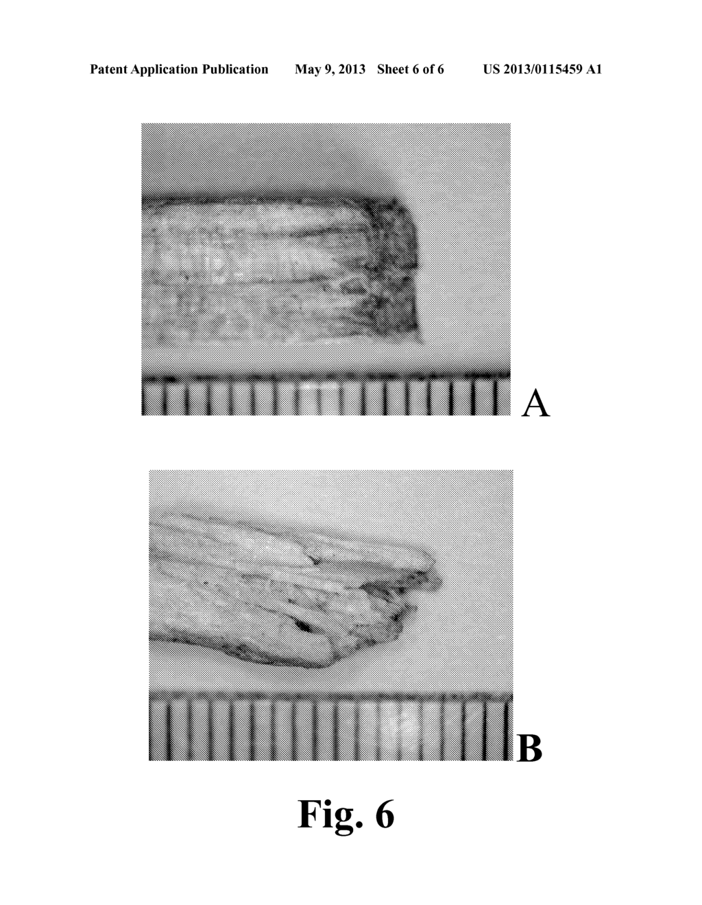 PRECISION WOOD PARTICLE FEEDSTOCKS - diagram, schematic, and image 07