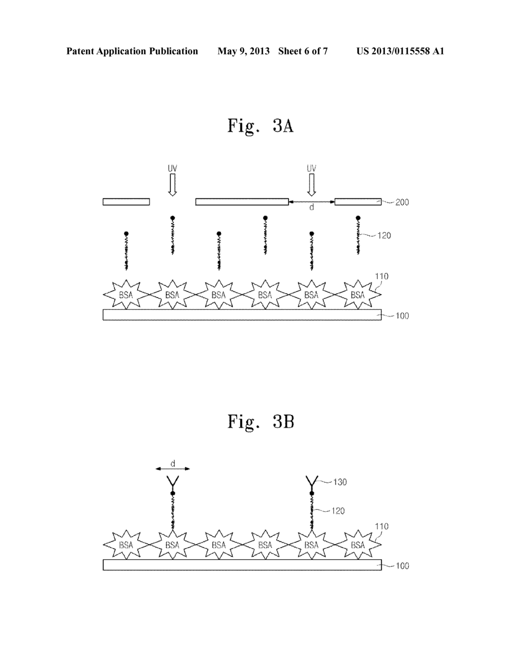 SELECTIVE PHOTO-INDUCED PROTEIN IMMOBILIZATION USING BOVINE SERUM ALBUMIN - diagram, schematic, and image 07