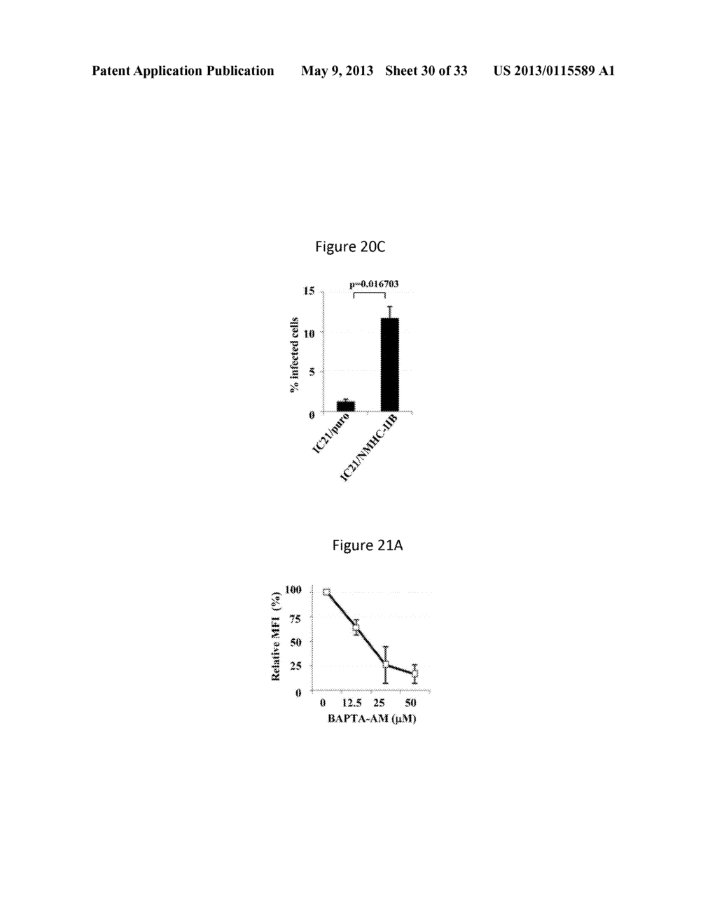 Pharmaceutical Composition for Treatment and Prevention of Herpes Virus     Infections - diagram, schematic, and image 31