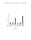 HIGH SPECIFICITY AND HIGH SENSITIVITY DETECTION BASED ON STERIC HINDRANCE     & ENZYME-RELATED SIGNAL AMPLIFICATION diagram and image