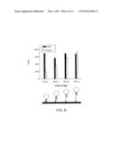 HIGH SPECIFICITY AND HIGH SENSITIVITY DETECTION BASED ON STERIC HINDRANCE     & ENZYME-RELATED SIGNAL AMPLIFICATION diagram and image