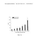 HIGH SPECIFICITY AND HIGH SENSITIVITY DETECTION BASED ON STERIC HINDRANCE     & ENZYME-RELATED SIGNAL AMPLIFICATION diagram and image