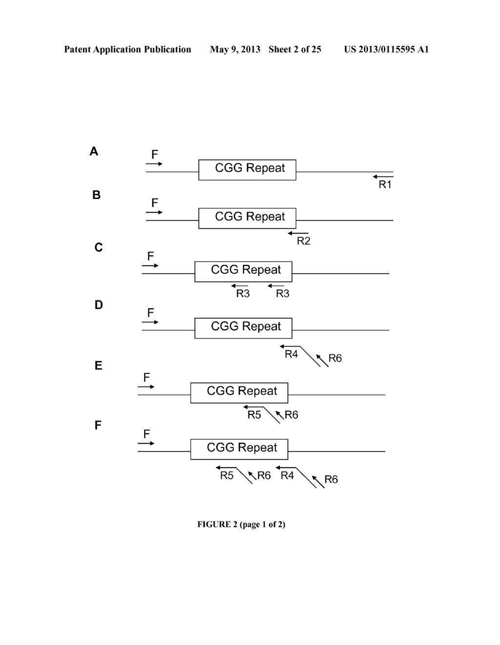 METHOD TO DETECT REPEAT SEQUENCE MOTIFS IN NUCLEIC ACID - diagram, schematic, and image 03