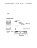 ENDOGENETIC RETROVIRAL SEQUENCES, ASSOCIATED WITH AUTOIMMUNE DISEASES OR     WITH PREGNANCY DISORDERS diagram and image