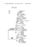 ENDOGENETIC RETROVIRAL SEQUENCES, ASSOCIATED WITH AUTOIMMUNE DISEASES OR     WITH PREGNANCY DISORDERS diagram and image