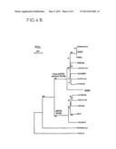 ENDOGENETIC RETROVIRAL SEQUENCES, ASSOCIATED WITH AUTOIMMUNE DISEASES OR     WITH PREGNANCY DISORDERS diagram and image